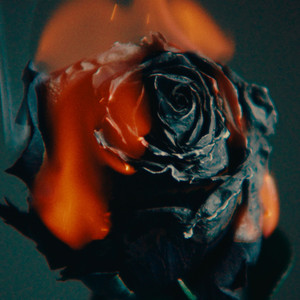 一边操逼一边打电话,操她
